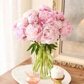 Header navigation sub menu